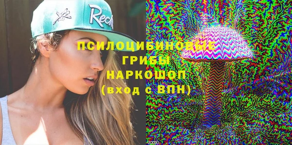молекула духа Алексеевка