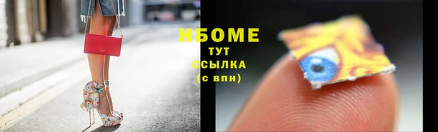 крисы Алзамай