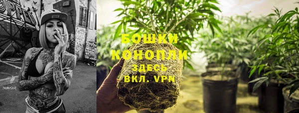 стаф Семикаракорск