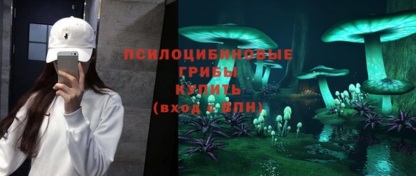 молекула духа Алексеевка