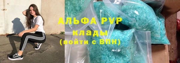 крисы Алзамай