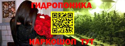 МДПВ Тула