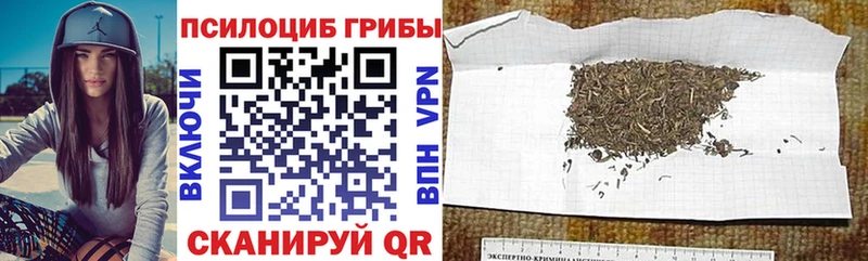 Галлюциногенные грибы прущие грибы  Серов 