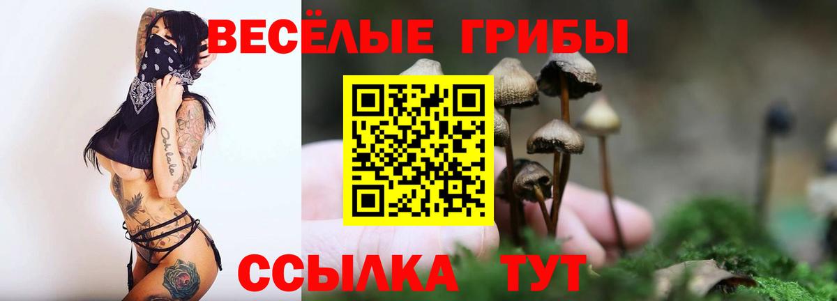 Псилоцибиновые грибы Psilocybine cubensis Серов
